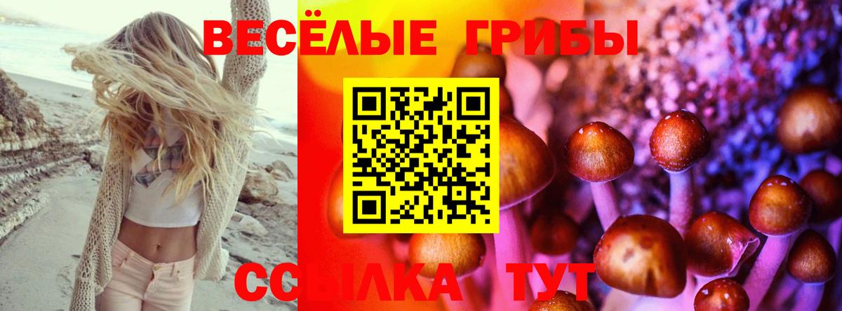Нижнекамск  Псилоцибиновые грибы MAGIC MUSHROOMS  Вход с VPN  Галлюциногенные грибы MAGIC MUSHROOMS 